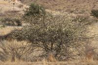 09-18-2008 : 17, Arrêt nø85, Etusis lodge