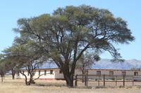 09-16-2008 : 15, Arrêt nø69, autre bord de route