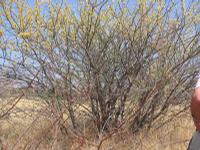 09-18-2008 : 17, Arrêt nø86, bords de route