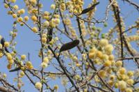 09-18-2008 : 17, Arrêt nø86, bords de route