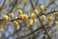 09-18-2008 : 17, Arrêt nø86, bords de route