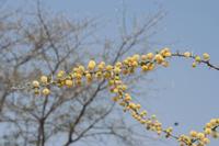 09-18-2008 : 17, Arrêt nø86, bords de route