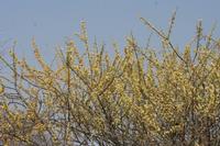 09-18-2008 : 17, Arrêt nø86, bords de route