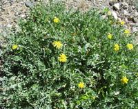 10-05-2003 : 10, Arrêt nø36, Route le long de la Grootrivier