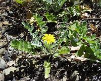 10-05-2003 : 10, Arrêt nø36, Route le long de la Grootrivier