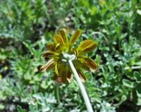 10-05-2003 : 10, Arrêt nø36, Route le long de la Grootrivier