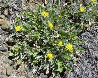 10-05-2003 : 10, Arrêt nø36, Route le long de la Grootrivier