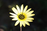 09-04-2008 : 03, Arrêt nø7, vers Malmesbury, bords de la N 7