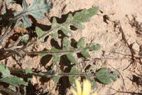 09-04-2008 : 03, Arrêt nø7, vers Malmesbury, bords de la N 7