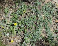 10-05-2003 : 10, Arrêt nø36, Route le long de la Grootrivier