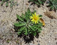 10-05-2003 : 10, Arrêt nø36, Route le long de la Grootrivier