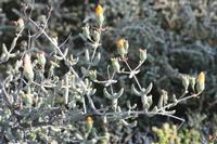 09-13-2008 : 12, Arrêt nø54, à propos d'un crevaison de plus