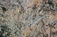 09-13-2008 : 12, Arrêt nø54, à propos d'un crevaison de plus