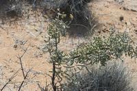 09-13-2008 : 12, Arrêt nø54, à propos d'un crevaison de plus