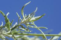 09-16-2008 : 15, Arrêt nø72, Déjeuner avant le tropique du Capricorne