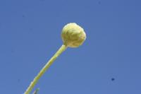 09-16-2008 : 15, Arrêt nø72, Déjeuner avant le tropique du Capricorne