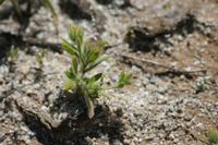 09-04-2008 : 03, Arrêt nø7, vers Malmesbury, bords de la N 7