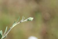 09-04-2008 : 03, Arrêt nø7, vers Malmesbury, bords de la N 7