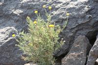 09-13-2008 : 12, Arrêt nø55, 2ème excursion sur la colline à RP