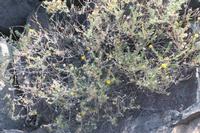 09-13-2008 : 12, Arrêt nø55, 2ème excursion sur la colline à RP