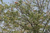 09-19-2008 : 18, Arrêt nø93, bords de route