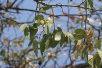 09-19-2008 : 18, Arrêt nø94, Etosha National Park