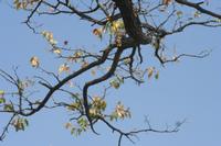 09-19-2008 : 18, Arrêt nø94, Etosha National Park