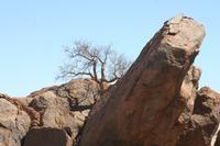 09-16-2008 : 15, Arrêt nø71, Colline granitique