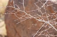 09-16-2008 : 15, Arrêt nø71, Colline granitique