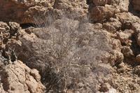 09-16-2008 : 15, Arrêt nø70, Solitaire country lodge