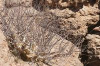 09-16-2008 : 15, Arrêt nø70, Solitaire country lodge