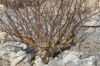 09-18-2008 : 17, Arrêt nø85, Etusis lodge