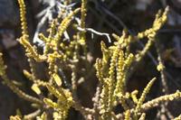 09-11-2008 : 10, Arrêt nø49, Colline avec château d'eau à Rosh Pinah