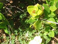 09-07-2008 : 06, Arrêt nø21, bord de route