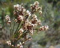 10-04-2003 : 09, Arrêt nø32, au niveau du Col