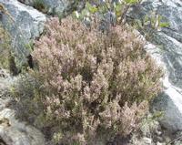 10-04-2003 : 09, Arrêt nø32, au niveau du Col