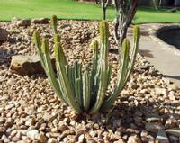 10-15-2003 : 20, Arrêt nø72, Windhoek 1700m avec Ian Oliver