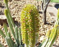 10-15-2003 : 20, Arrêt nø72, Windhoek 1700m avec Ian Oliver