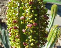 10-15-2003 : 20, Arrêt nø72, Windhoek 1700m avec Ian Oliver