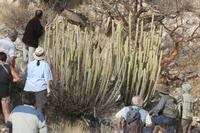 09-18-2008 : 17, Arrêt nø85, Etusis lodge