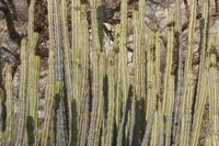 09-18-2008 : 17, Arrêt nø85, Etusis lodge