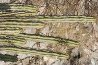 09-18-2008 : 17, Arrêt nø85, Etusis lodge