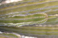 09-18-2008 : 17, Arrêt nø85, Etusis lodge