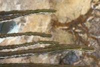 09-18-2008 : 17, Arrêt nø85, Etusis lodge