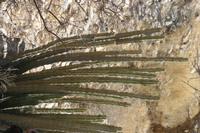 09-18-2008 : 17, Arrêt nø85, Etusis lodge