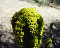 10-18-2003 : 23, Arrêt nø90, Daan Viljoen Game Reserve