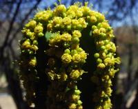 10-18-2003 : 23, Arrêt nø90, Daan Viljoen Game Reserve