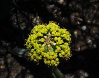 10-18-2003 : 23, Arrêt nø90, Daan Viljoen Game Reserve