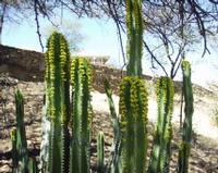 10-18-2003 : 23, Arrêt nø90, Daan Viljoen Game Reserve