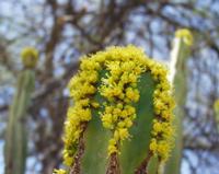 10-18-2003 : 23, Arrêt nø90, Daan Viljoen Game Reserve